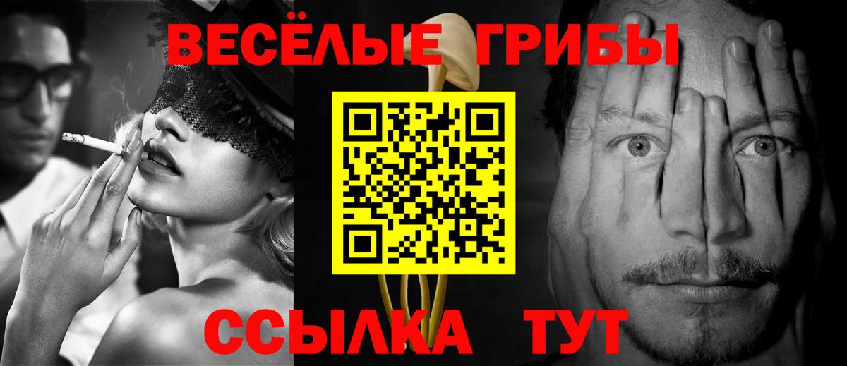 Галлюциногенные грибы мицелий  Вход с VPN  Полысаево 